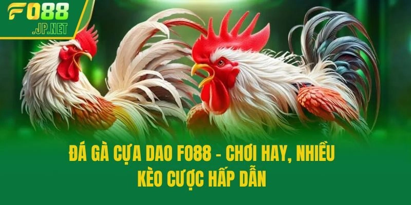 Đá Gà Cựa Dao Fo88 – Chơi Hay, Nhiều Kèo Cược Hấp Dẫn