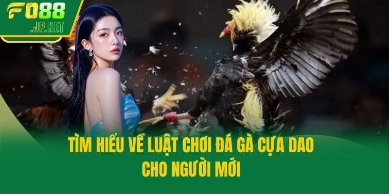 Tìm hiểu về luật chơi đá gà cựa dao cho người mới